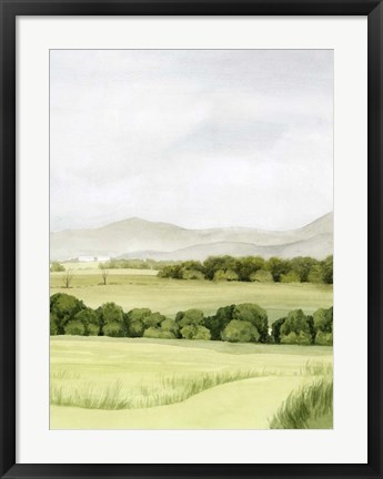 Framed Lush Farmland II Print