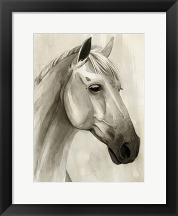 Framed Freckled Pony II Print