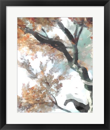 Framed Fall Tree II Print