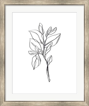 Framed Leaf Sprig I Print