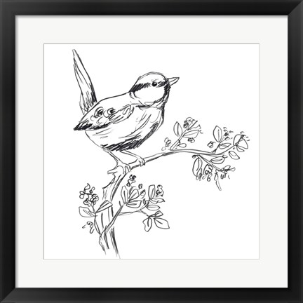 Framed Simple Songbird Sketches IV Print