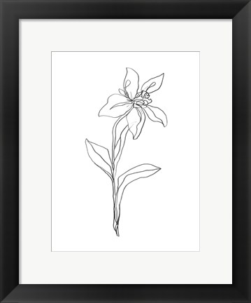 Framed Simple Daffodil I Print