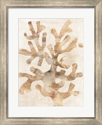 Framed Parchment Coral I Print