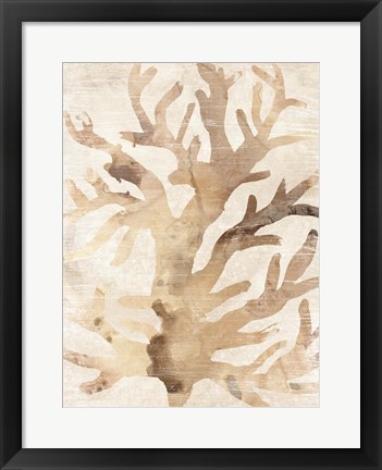 Framed Parchment Coral III Print