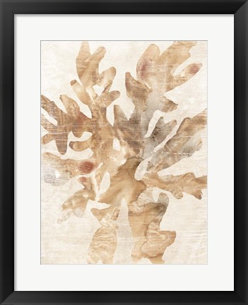 Framed Parchment Coral IV Print