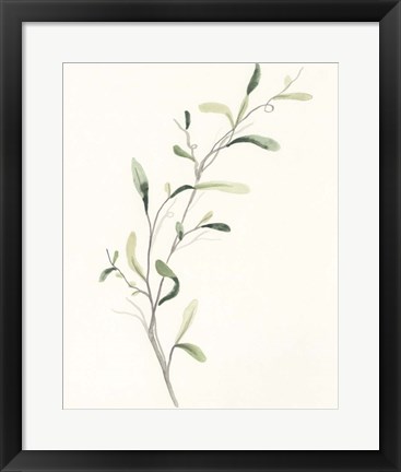 Framed Spindle Sprig IV Print