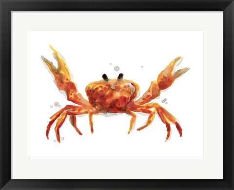 Framed Crab Cameo II Print