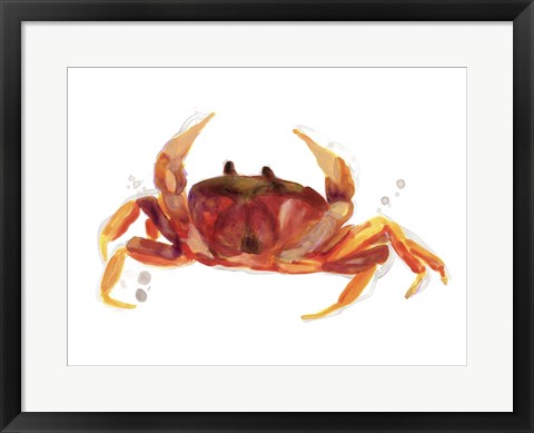 Framed Crab Cameo III Print