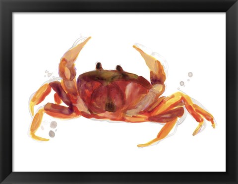 Framed Crab Cameo III Print