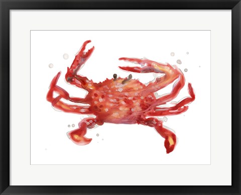 Framed Crab Cameo IV Print