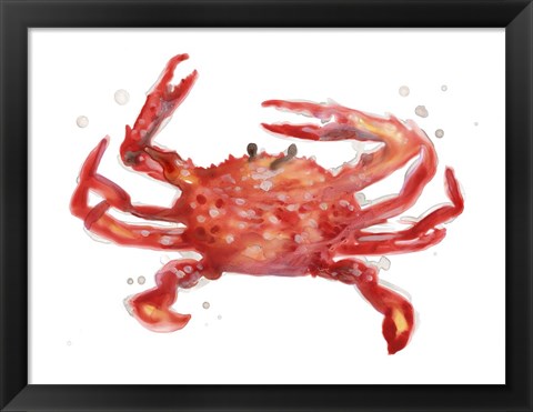 Framed Crab Cameo IV Print