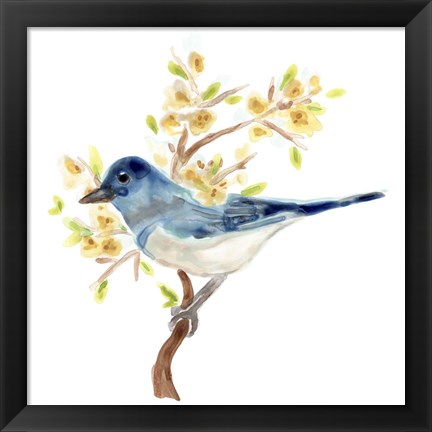 Framed Springtime Songbirds IV Print