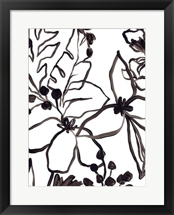 Framed Tropical Outlines IV Print