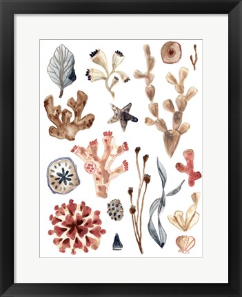 Framed Ocean Assortment II Print