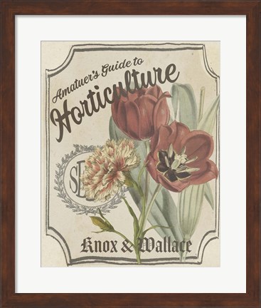 Framed Vintage Seed Packets I Print