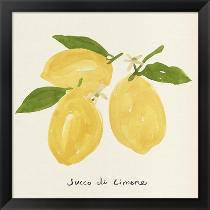 Framed Citrus Trattare I Print