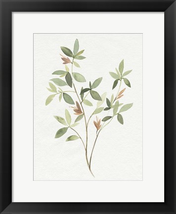 Framed Single Sprig I Print