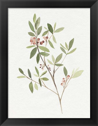 Framed Single Sprig IV Print