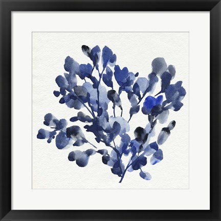 Framed Cobalt Blossom II Print