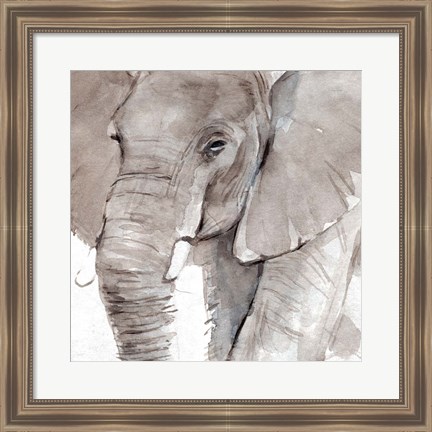 Framed Elephant Grooves I Print