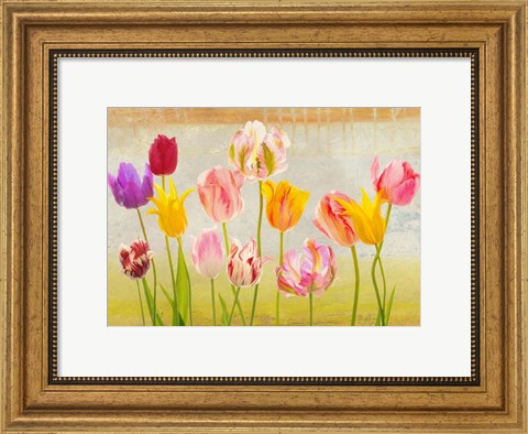 Framed Tulipani d&#39;estate Print