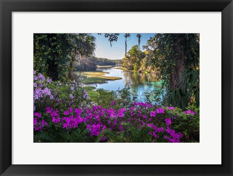 Framed Rainbow Springs Print