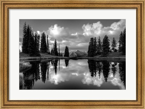 Framed Paradise Reflection Print