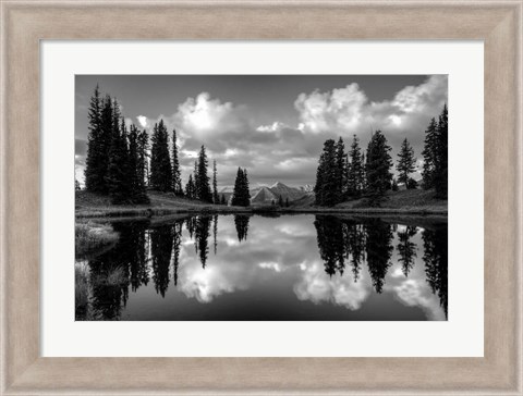 Framed Paradise Reflection Print