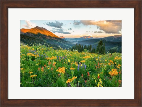 Framed Wash Gulch Wild Print