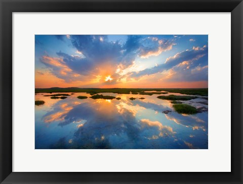 Framed Plum Island Print