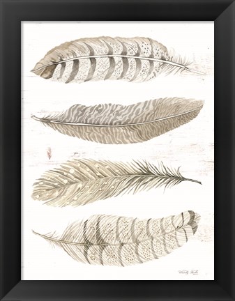 Framed Feather Quad Print