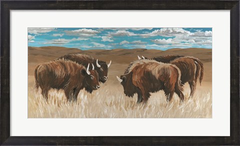 Framed Bison Herd II Print