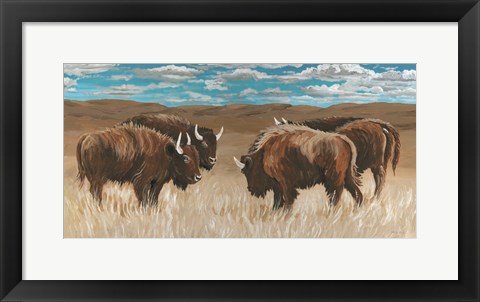 Framed Bison Herd II Print