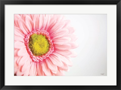 Framed Daisy Close-up Print