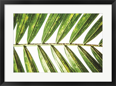 Framed Leaf Study I Print