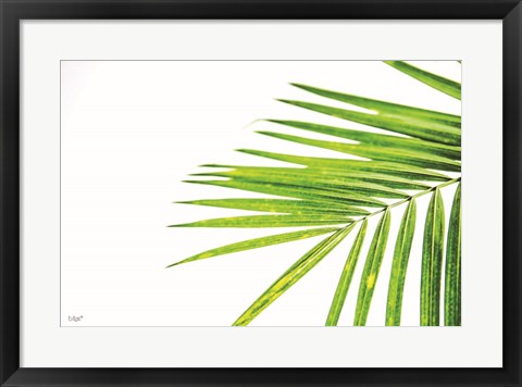 Framed Leaf Study III Print