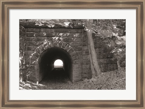 Framed Juniata Tunnel Print