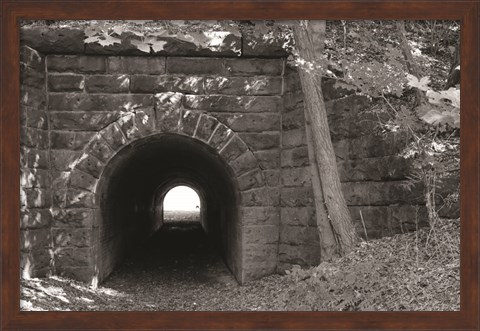 Framed Juniata Tunnel Print