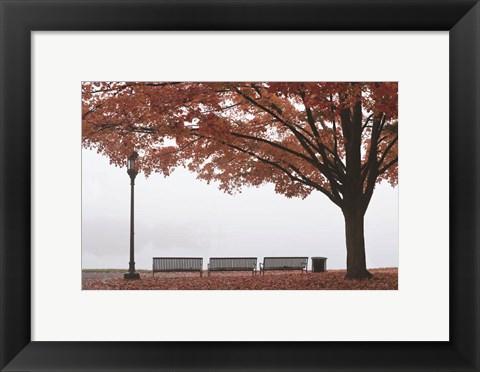 Framed Place to Dream Print