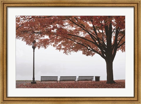 Framed Place to Dream Print