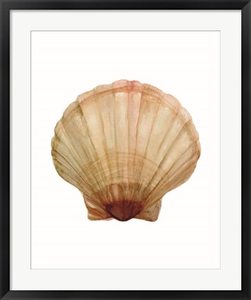 Framed Neutral Shell Collection 2 Print