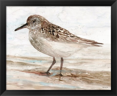 Framed Sanibel Piper 1 Print