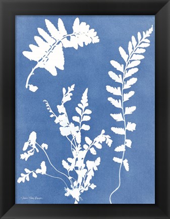 Framed Blue Botanical II Print