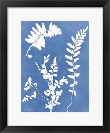 Framed Blue Botanical II Print