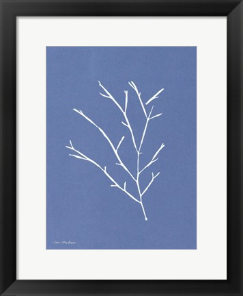 Framed Blue Botanical III Print