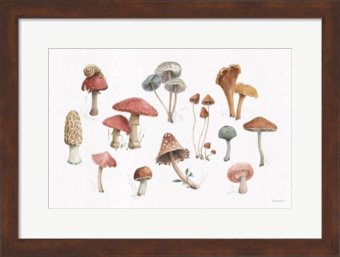 Framed Mushroom Medley 01 Print
