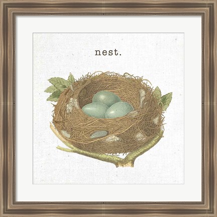 Framed Spring Nest III Nest Print