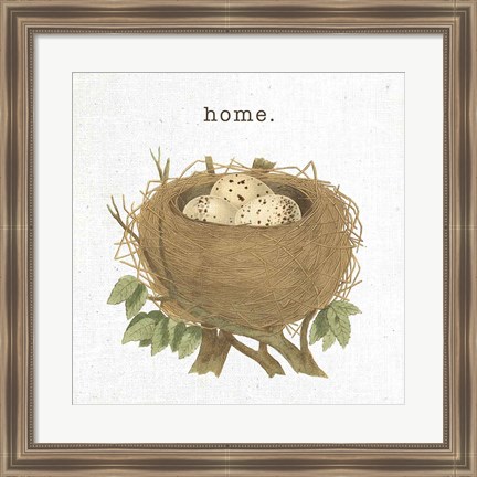 Framed Spring Nest II Home Print