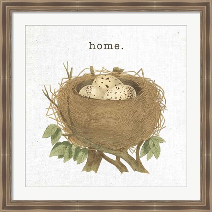 Framed Spring Nest II Home Print