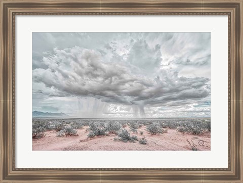 Framed New Mexico Rain Print